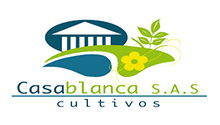 CULTIVOS-CASABLANCA-Colombia.jpg