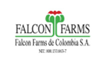 FALCON-FARMS-COLOMBIA-Colombia.jpg