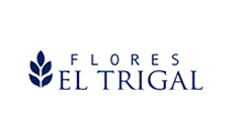 FLORES-EL-TRIGAL-Colombia.jpg